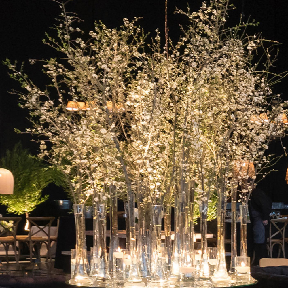 costa-ensenada-lodge-09