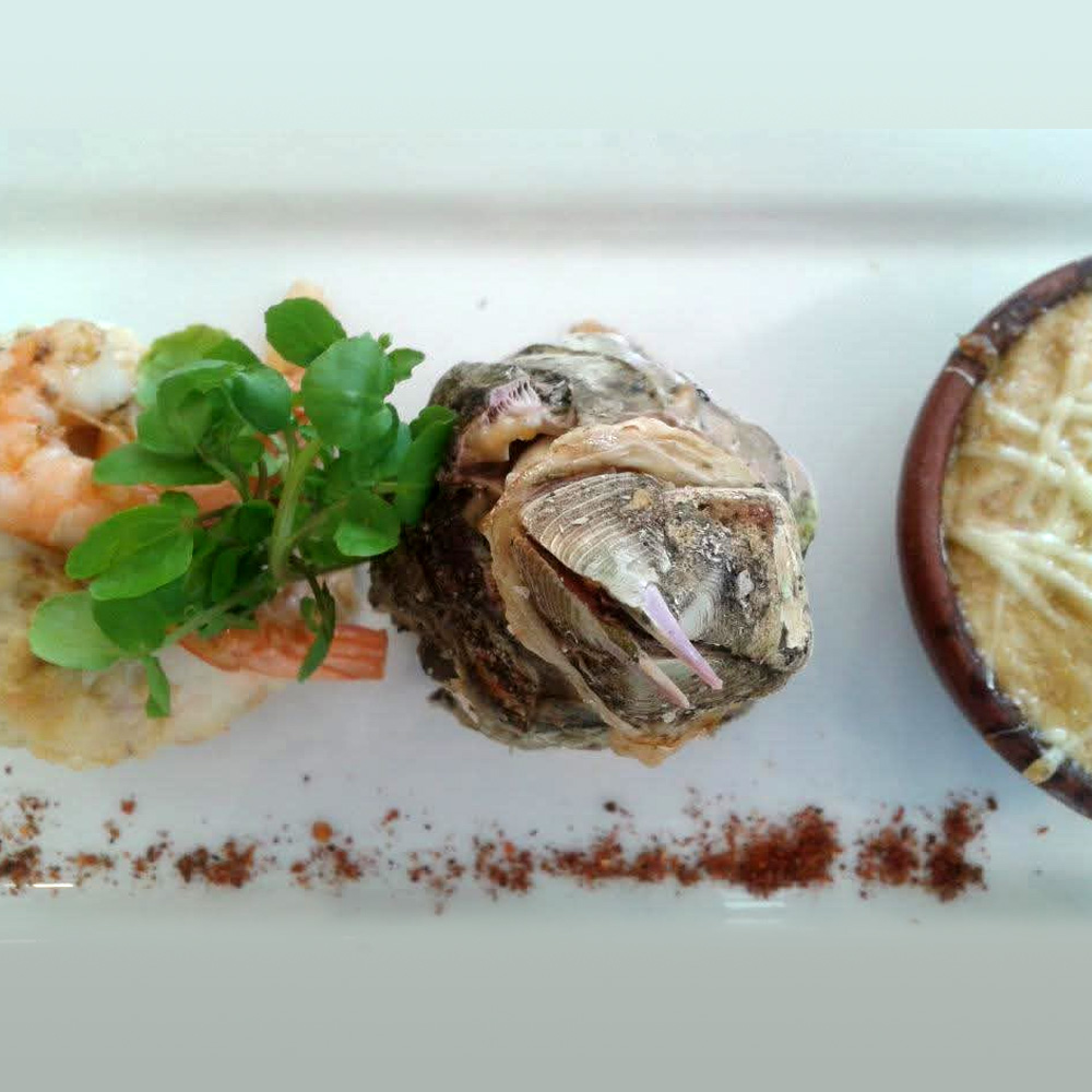 costa-ensenada-lodge-17