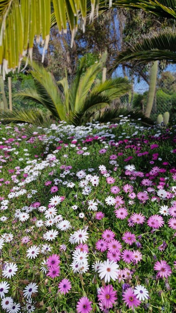 costa-ensenada-lodge-33