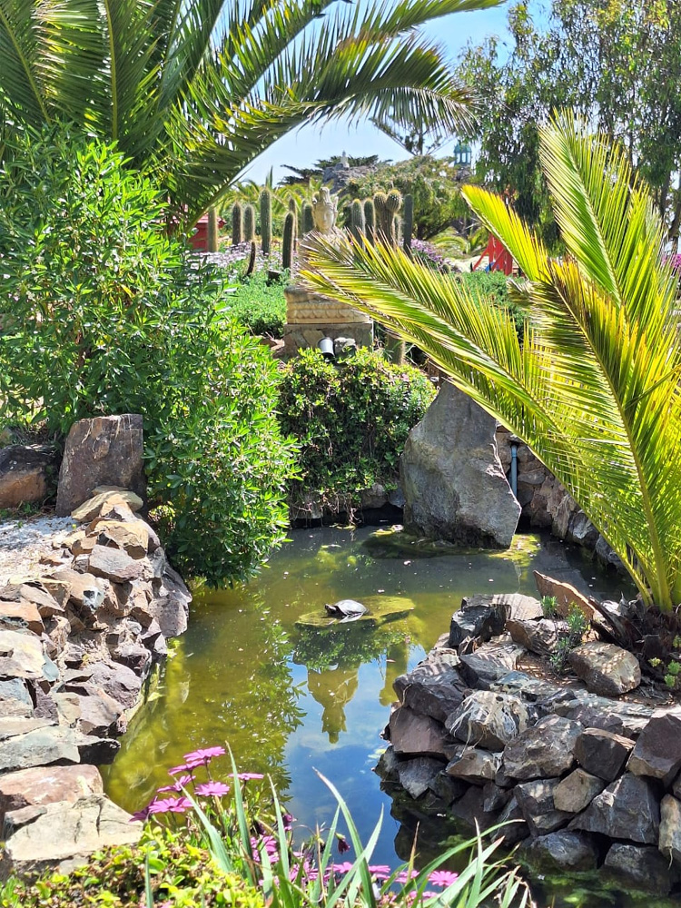 costa-ensenada-lodge-35