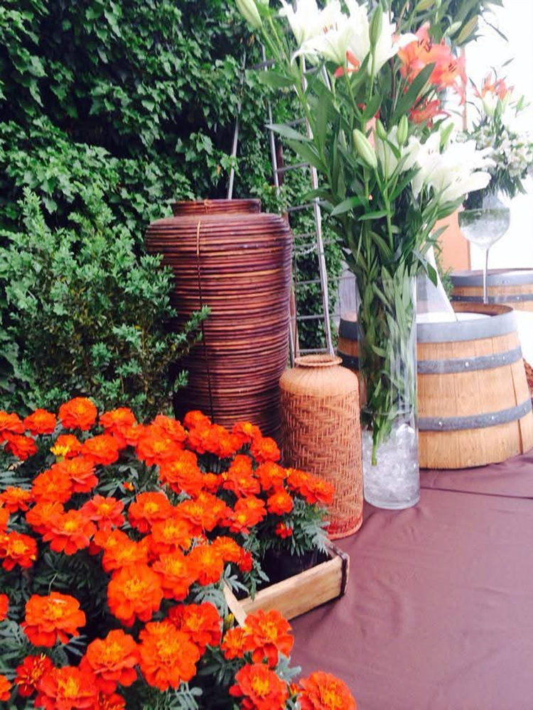 costa-ensenada-lodge-36