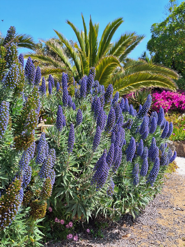 costa-ensenada-lodge-37