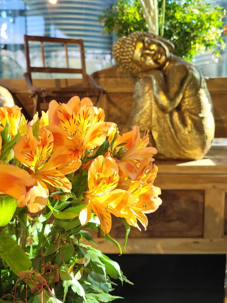 costa-ensenada-lodge-50