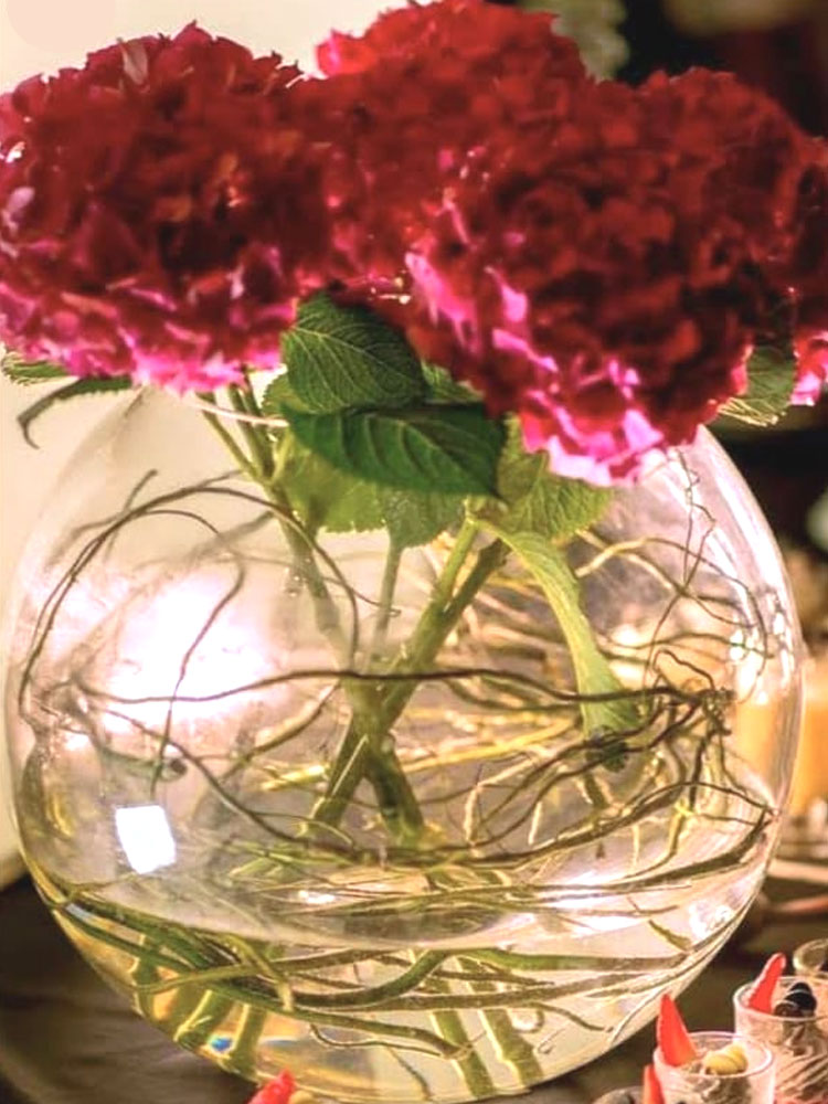 costa-ensenada-lodge-55