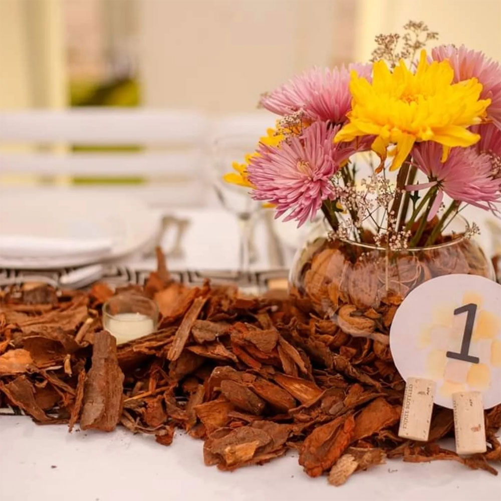 costa-ensenada-lodge-57