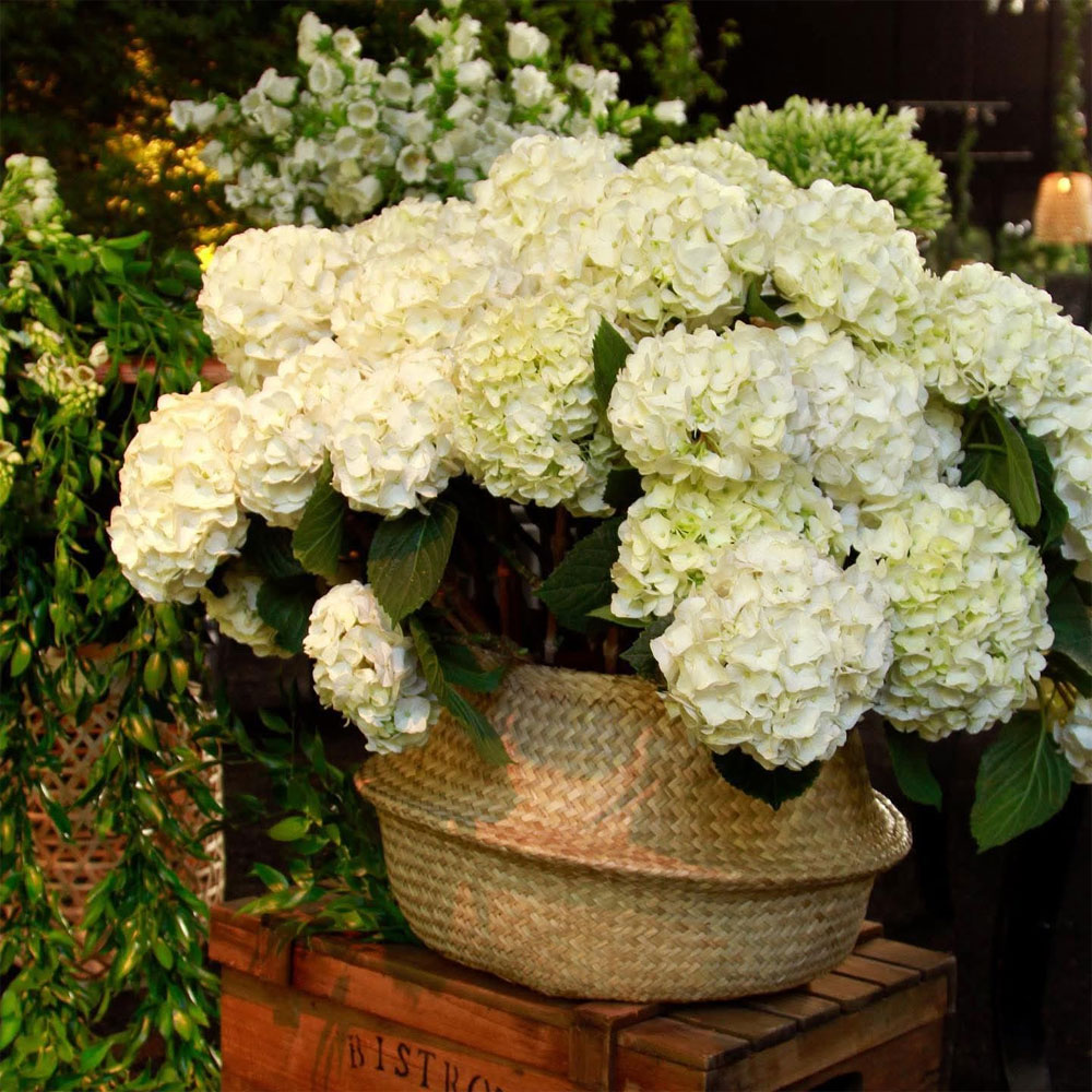 costa-ensenada-lodge-61