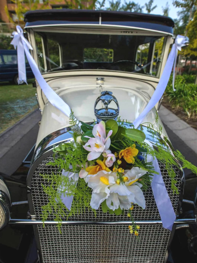 costa-ensenada-lodge-64